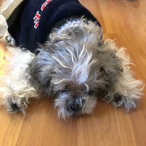 Meet your Posher, Hope